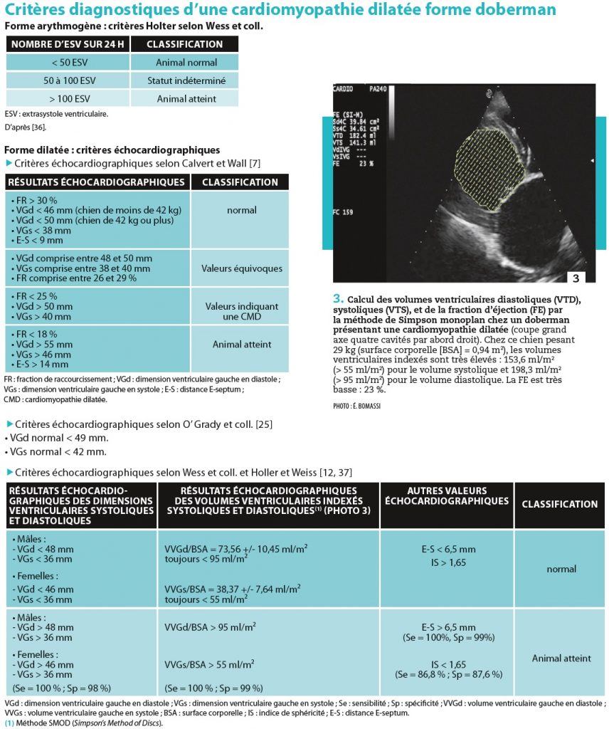 BOM - 2015 - Aa2b1 - Les cardiomyopathies dilatés du chien-2
