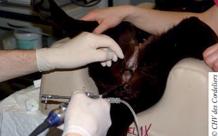 Photo 2 : Vagino-cystoscopie par endoscopie rigide