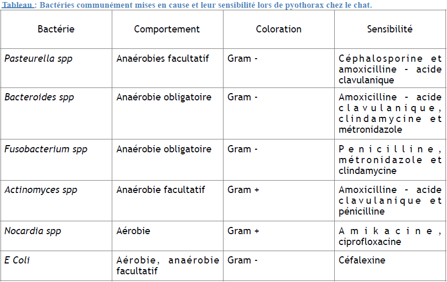 Tableau