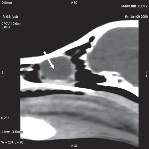 Figure 3 b