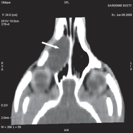 Figure 3 c