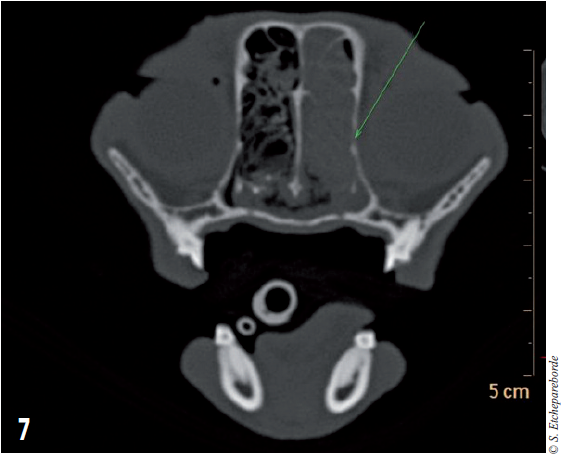 Figure 7