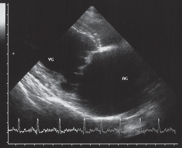 figure7